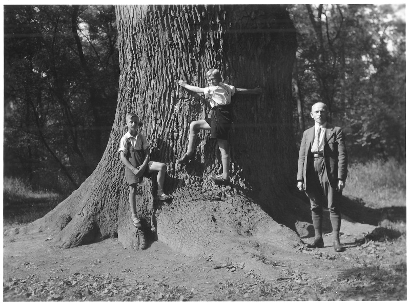 Kaisereiche Beyer 1937